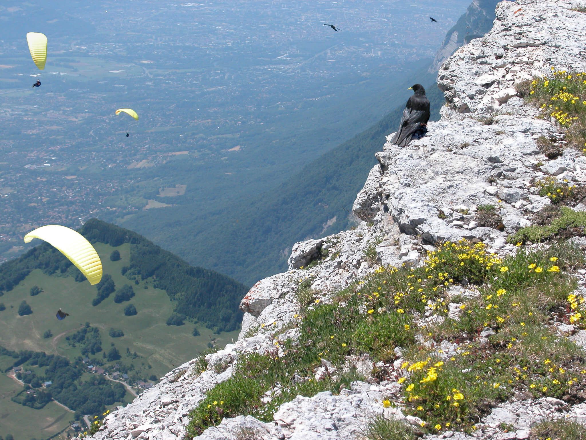 Parapente en Chartreuse - Photo de Jef Safi sur Flickr